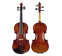 Custodia E Arco Per Violino 4/4 Eccellente, Senza Tono Forte