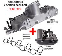 Custodia Farfalla + Colletore Aspirazione per VW Golf Passat Tiguan 2.0 Tdi