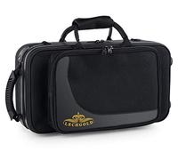 Custodia per Sassofono Soprano Curvo Sax Borsa Imbottita Spallaci Zaino Nero