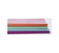 Custodia Libro Apli 100 Unità 28 x 53 cm Trasparente (100 Unità ) NEW