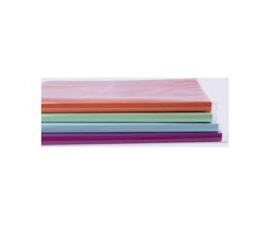 Custodia Libro Apli 100 Unità 28 x 53 cm Trasparente (100 Unità ) NEW