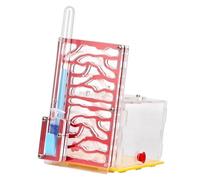 Custodia Nest Habitat in acrilico trasparente con mangiatoia, espositore per formicaio per osservazione educativa, 18,5x10x17 cm, regalo per bambini amanti della scienza red