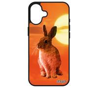 Custodia per Apple Coniglio Telefono per iPhone 16+ Plus in Silicone Solido a Buon Mercato Design Cielo Animali Custodia per Pane Animali Carino Coniglio Custodia
