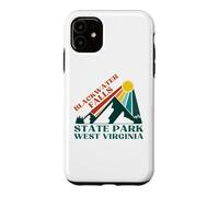Custodia per iPhone 11 Cascate Blackwater