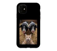 Custodia per iPhone 11 Funny Cat Selfie with Pigs Design - Cute Animal Pig Lovers