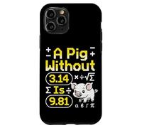 Custodia per iPhone 11 Pro A Pig Without 3.14 Is 9.81 fisica matematica