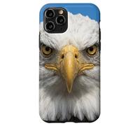 Custodia per iPhone 11 Pro Bald Eagle Close Up Ritratto Sharp Wildlife Face