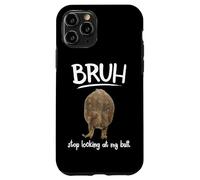 Custodia per iPhone 11 Pro Bruh Dont Look At My Frog Butt Meme
