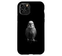 Custodia per iPhone 11 Pro Budgie parrocchetti birdwatcher pet bird lover