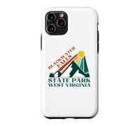 Custodia per iPhone 11 Pro Cascate Blackwater