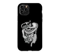 Custodia per iPhone 11 Pro Corpo umano Organi Interni Anatomia Regalo Grafico Uomini Donne