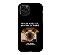 Custodia per iPhone 11 Pro Cosa stai facendo qui Gatto Siamese Ansioso
