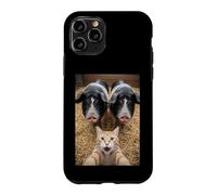 Custodia per iPhone 11 Pro Funny Cat Selfie with Pigs Design - Cute Animal Pig Lovers