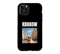 Custodia per iPhone 11 Pro Gatto A Cracovia