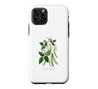 Custodia per iPhone 11 Pro Illustrazione della pianta del fagiolo francese Phaseolus vulgaris