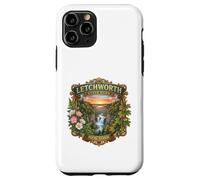 Custodia per iPhone 11 Pro Letchworth State Park New York Cascate novità souvenir