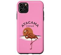 Custodia per iPhone 11 Pro Max Atacama Cile Flamingo Retro Tramonto