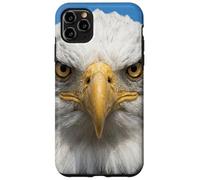 Custodia per iPhone 11 Pro Max Bald Eagle Close Up Ritratto Sharp Wildlife Face