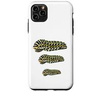 Custodia per iPhone 11 Pro Max Black Swallowtail Caterpillar Studio Papilio Polyxenes Larva