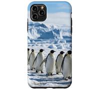 Custodia per iPhone 11 Pro Max Colonia di pinguini che cammina su ghiaccio Antartico scena della fauna selvatica