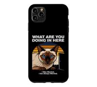 Custodia per iPhone 11 Pro Max Cosa stai facendo qui Gatto Siamese Ansioso