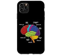 Custodia per iPhone 11 Pro Max Neuroscienze di anatomia del cervello umano Labeled Lobi Corteccia