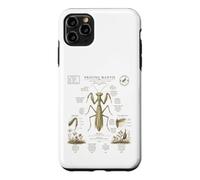 Custodia per iPhone 11 Pro Max Pregare Mantide Anatomia Vintage Field Guide Art