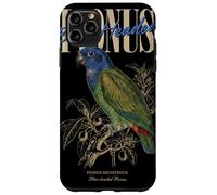 Custodia per iPhone 11 Pro Max Vintage pionus dalla testa blu birdwatching natura uccelli amore
