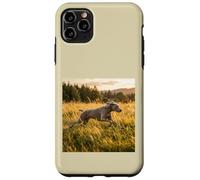 Custodia per iPhone 11 Pro Max Weimaraner - Campi in esecuzione al tramonto