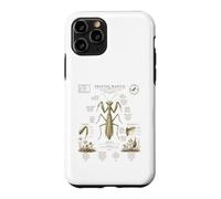 Custodia per iPhone 11 Pro Pregare Mantide Anatomia Vintage Field Guide Art