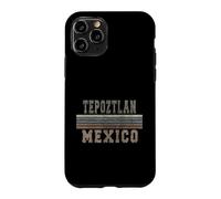 Custodia per iPhone 11 Pro Retro Tepoztlan Messico