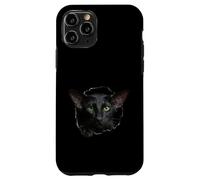 Custodia per iPhone 11 Pro Striking Black Oriental Shorthair Cat che sbircia attraverso