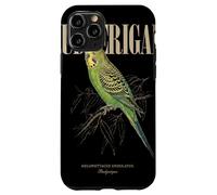 Custodia per iPhone 11 Pro Vintage Budgerigar Bird Watching Arte Natura Amore Uccelli
