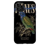 Custodia per iPhone 11 Pro Vintage pionus dalla testa blu birdwatching natura uccelli amore