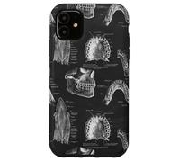 Custodia per iPhone 11 Tema Dentale Vintage Denti Umani Anatomia Grafica