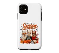 Custodia per iPhone 11 Tis The Season Halloween Llama Pumpkin Costume