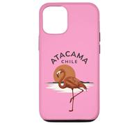 Custodia per iPhone 12/12 Pro Atacama Cile Flamingo Retro Tramonto
