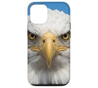 Custodia per iPhone 12/12 Pro Bald Eagle Close Up Ritratto Sharp Wildlife Face