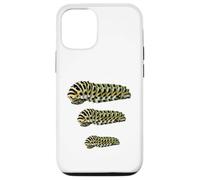 Custodia per iPhone 12/12 Pro Black Swallowtail Caterpillar Studio Papilio Polyxenes Larva
