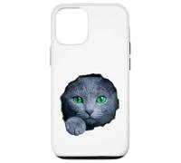 Custodia per iPhone 12/12 Pro Colpisce il gatto blu russo con gli occhi verdi che sbirciano attraverso