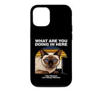 Custodia per iPhone 12/12 Pro Cosa stai facendo qui Gatto Siamese Ansioso