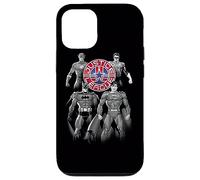 Custodia per iPhone 12/12 Pro Justice League Shades of Gray