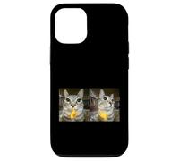 Custodia per iPhone 12/12 Pro Meme di Silly Staring Cat, divertente disegno felino