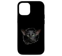 Custodia per iPhone 12/12 Pro Striking Black Oriental Shorthair Cat che sbircia attraverso