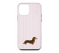 Custodia per iPhone 12 mini Bassotto a pelo lungo marrone e crema a righe rosa