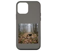 Custodia per iPhone 12 mini Beagle Tracking Forest Trail Nebbia Scena del bosco