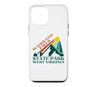 Custodia per iPhone 12 mini Cascate Blackwater