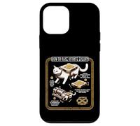 Custodia per iPhone 12 mini Chimico Ingegneria Chimica Infinite Energy Rotation Cat