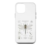 Custodia per iPhone 12 mini Diagramma di guida vintage del campo dell'anatomia della libellula Arte
