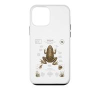 Custodia per iPhone 12 mini Diagramma guida campo vintage anatomia rana arte naturale